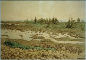 Pierres roulantes, eau et arbustes