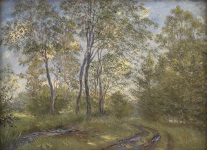 Une rivière près du manoir de Meilgård, Jutland - Theodor Philipsen
