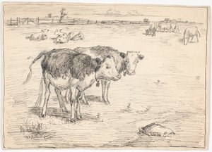 Un couple de veaux sur "Fladen", Saltholm