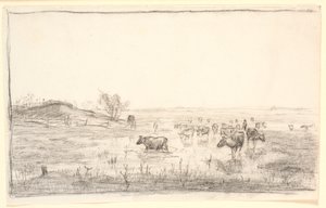 Vaches dans les prés près de Mejlgaard