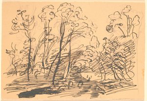 Paysage forestier avec arbres élancés