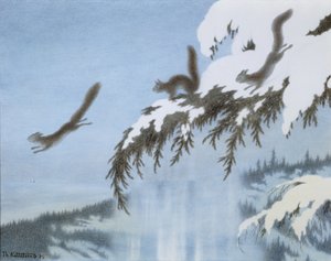 Écureuil en vol