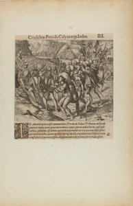 Crudelitas Petride Calyce Erga Indos. III. (extrait du livre Americae, quatrième partie)