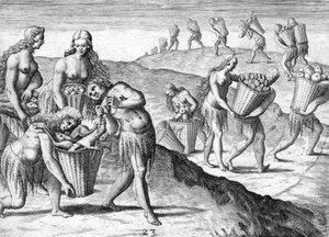 Tribu des Indiens Timucua