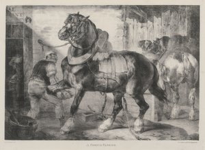 Un maréchal-ferrant français