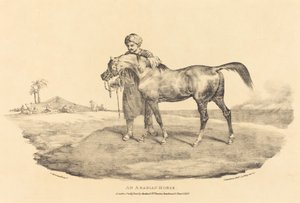 Un cheval arabe - Theodore Gericault