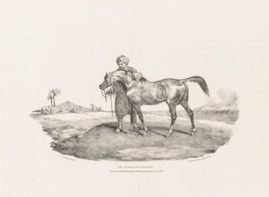 Un cheval arabe - Theodore Gericault