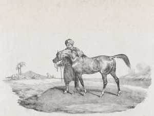 Un cheval arabe, 1821