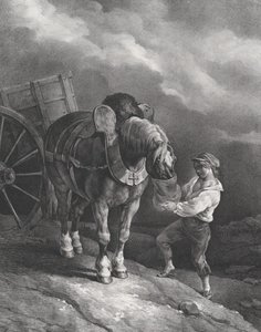 Garçon nourrissant un cheval de trait avec un sac à nez