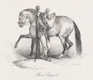 Cheval Espagnol (A Spanish Horse)