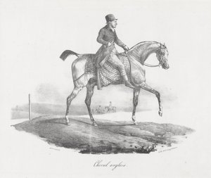 Cheval anglais (An English Horse) - Theodore Gericault
