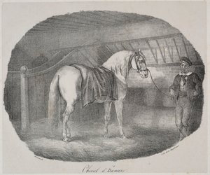 Cheval de Hanovre