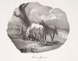 Chevaux flamands - Theodore Gericault