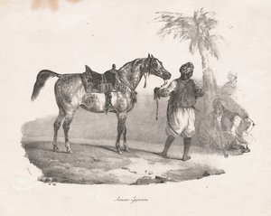 Jument égyptienne