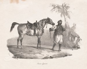 Jument égyptienne