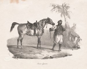 Jument Égyptienne, 1822