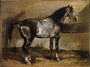 Cheval gris au râtelier