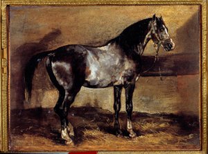 Cheval gris au râtelier