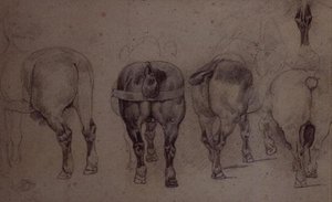 Chevaux attelés