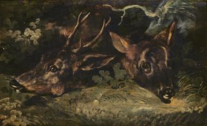 Têtes de chevreuil, 1815 - Theodore Gericault