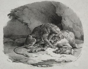 Cheval dévoré par un lion