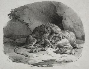 Cheval dévoré par un lion