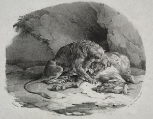 Cheval dévoré par un lion