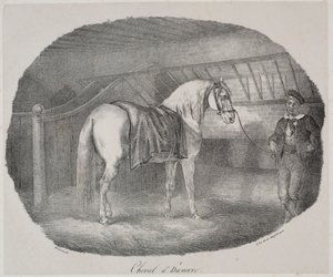 Cheval de Hanovre