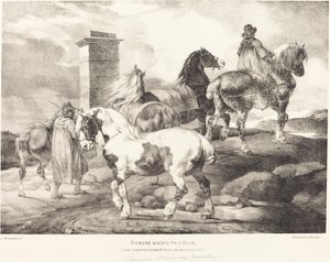 Chevaux allant à une foire