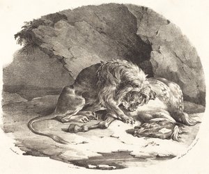 Lion dévorant un cheval