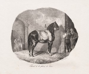 Études lithographiées de chevaux : Pl. 7, Cheval de la plaine de Caen - Theodore Gericault