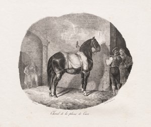 Études lithographiées de chevaux : Pl. 7, Cheval de la plaine de Caen, 1822 - Theodore Gericault