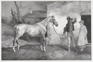 Un vieux cheval devant la porte d