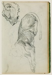 Lion assis, tête de lionne - Theodore Gericault