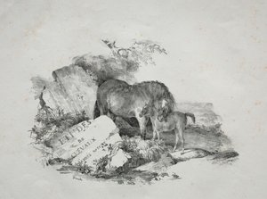 La jument et son poulain