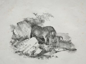 La jument et son poulain