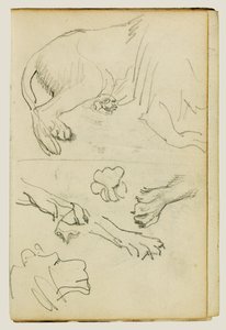 Diverses études de jambes, pattes et tête de lion - Theodore Gericault
