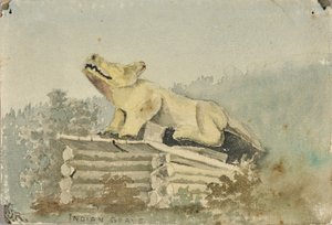 Tombe indienne. Totem de loup sur la tombe du guérisseur, Wrangell, vers 1880-1914