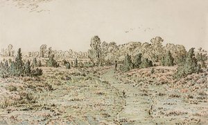 Sentier dans les Barbizonnières, 1864 - Pierre Etienne Theodore Rousseau