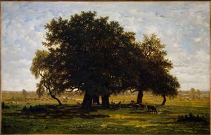 Groupe de Chênes, Apremont - Pierre Etienne Theodore Rousseau