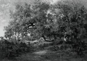 Paysage, vers 1860 - Theodore Rousseau