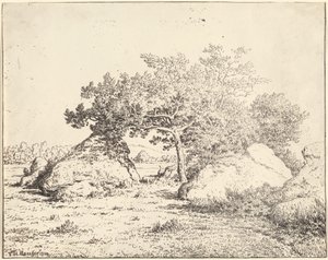 Le Cerisier de la Plante à Biau