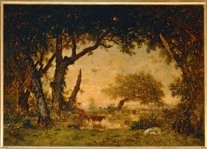 Sortie de la Foret a Fontainebleau, soleil couchant …