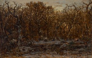 Forêt au coucher du soleil en hiver