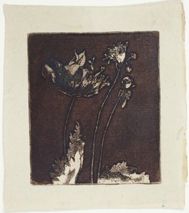 Derniers Coquelicots - Theodore Roussel