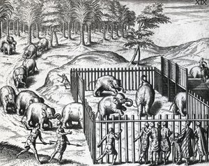 Chasse à l