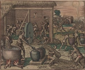 Les esclaves traitent la canne à sucre et fabriquent du sucre, 1595