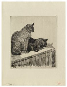Deux chats sur un meuble