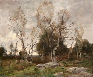 Paysage - Theophile de Bock