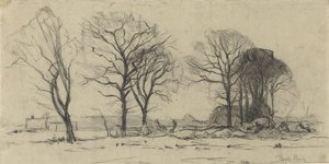 Paysage avec des arbres
